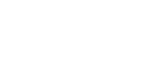 Bird in the sky